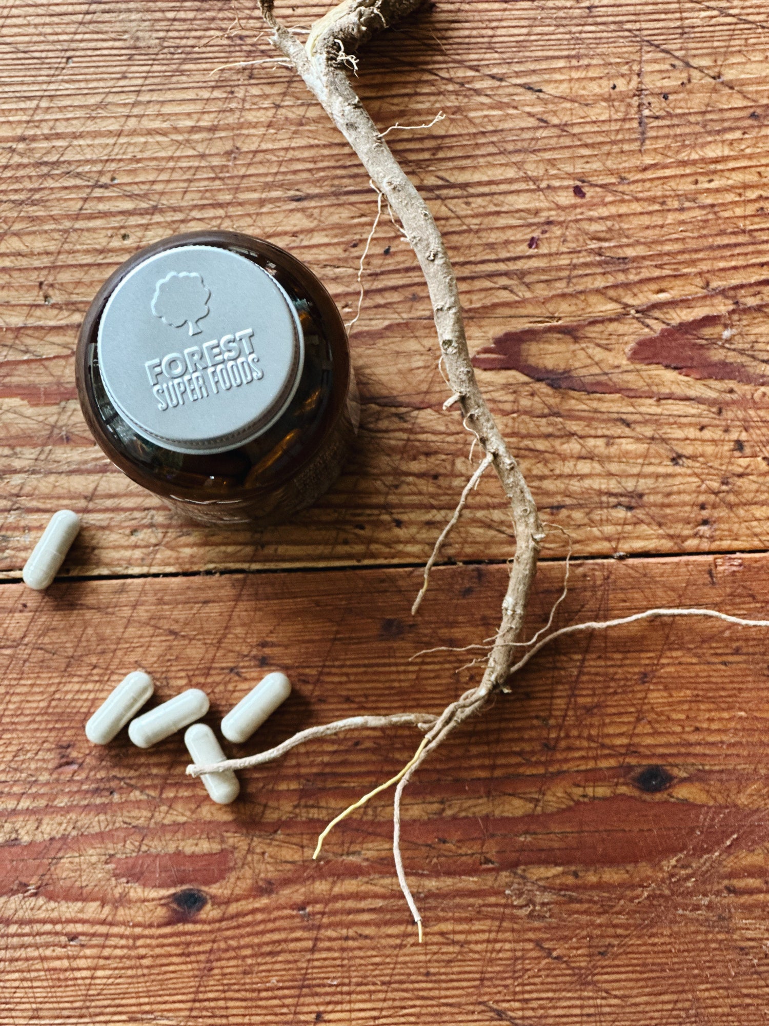 Ashwagandha Plant Benefits : How This Ancient Root Calms the Mind Naturally