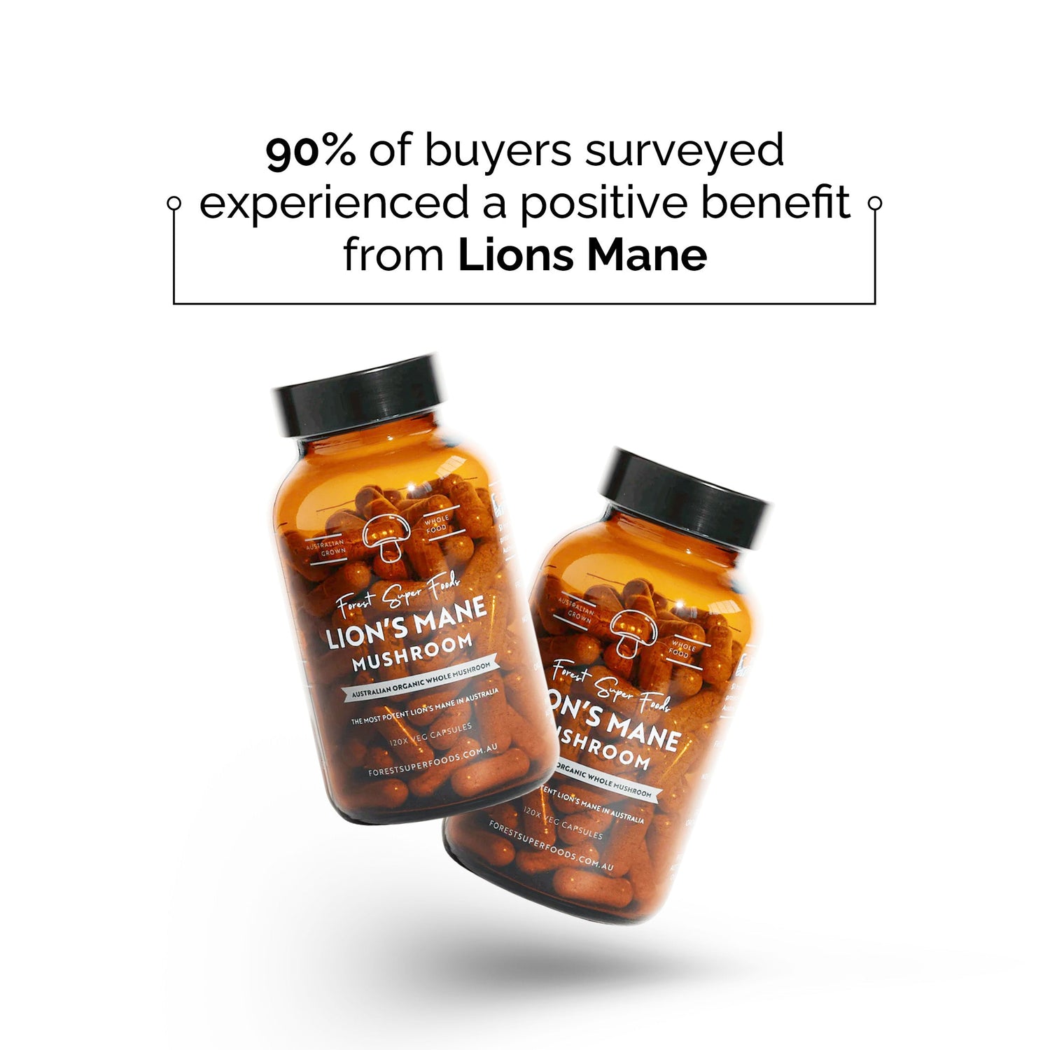 Lion's Mane User Survey Results