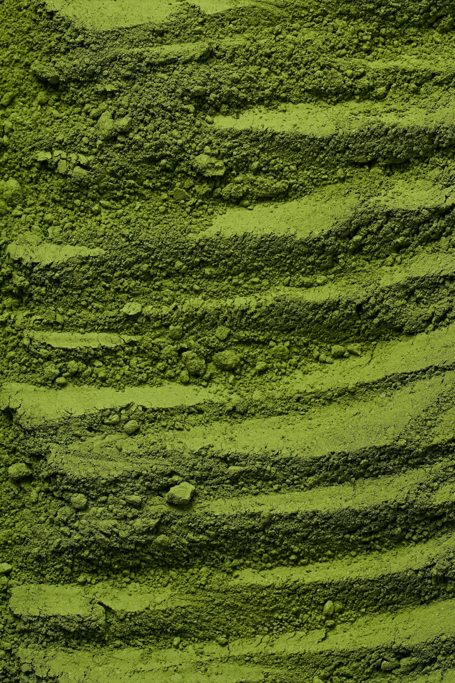 Moringa Leaf Powder: Possible Side Effects and Considerations