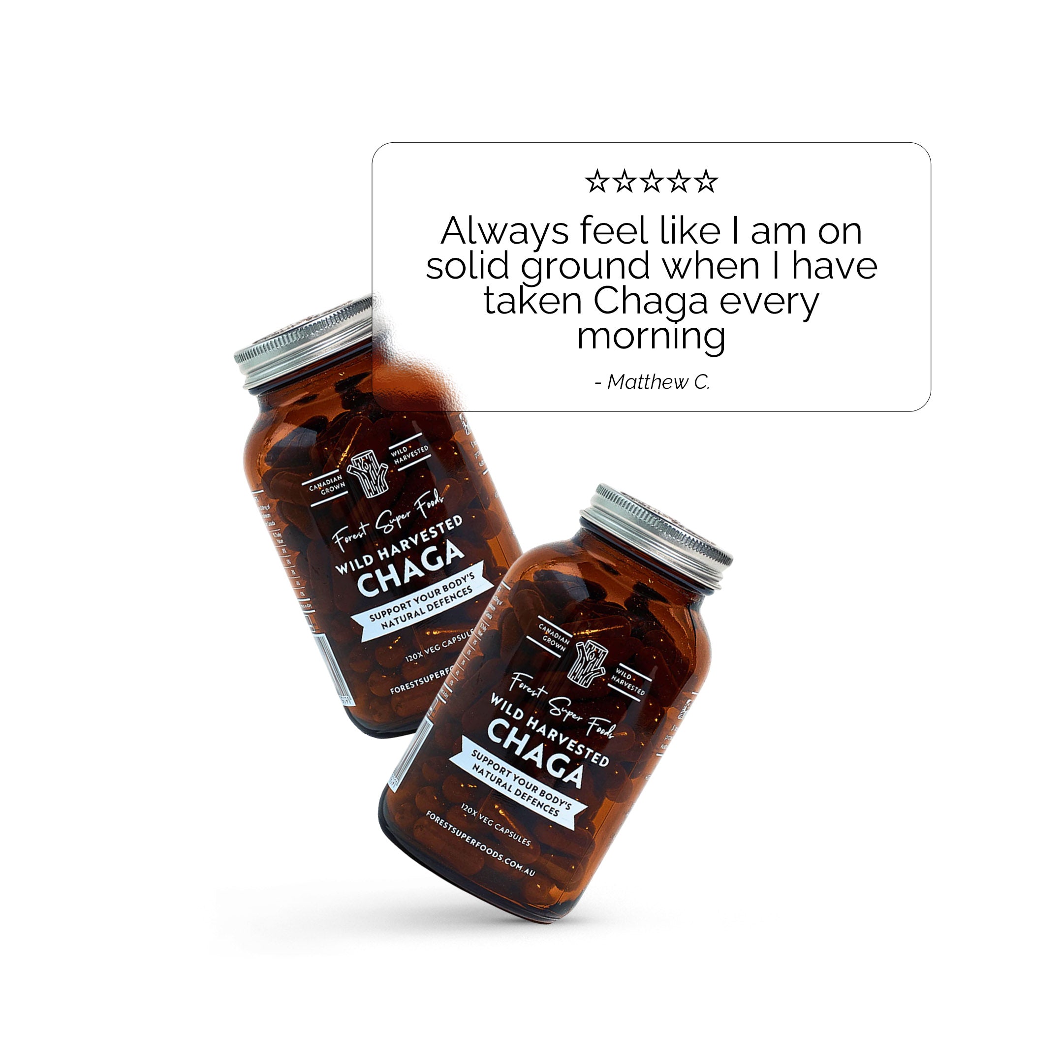 Wild Chaga Mushroom (Canada)