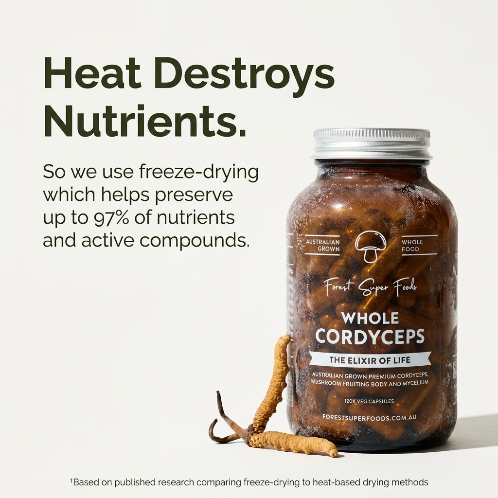 Australian Grown Cordyceps Mushroom