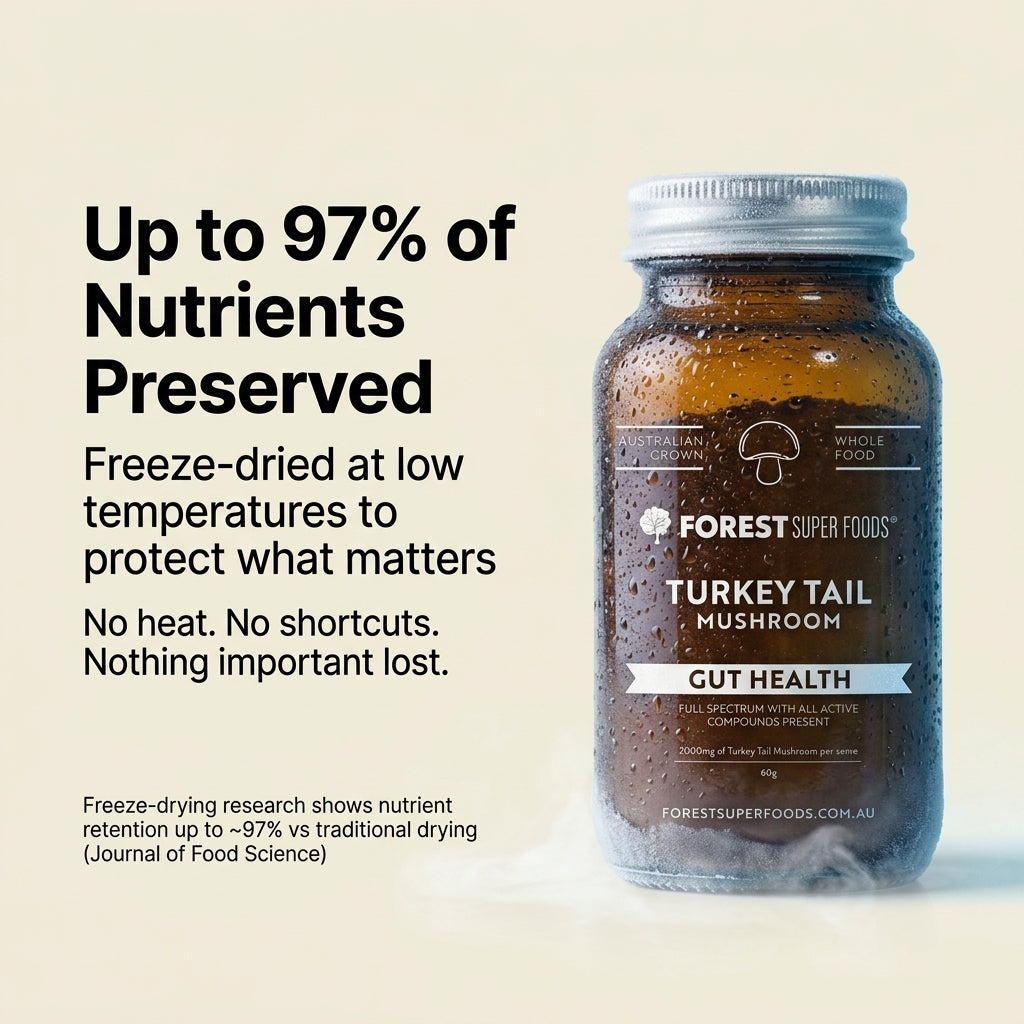 Australian Grown Turkey Tail Powder